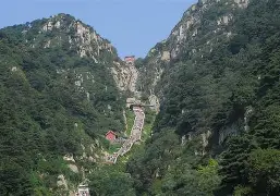 山东泰山内部会议纪要流出——窗口期状态回暖，欧冠使命明确，临场指挥获称赞的简单介绍