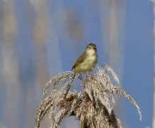 南宫体育入口 -t?緷篅壞嘹?じ"閯Ctq労?H皥c>2?屚從,?W;9熐#?	